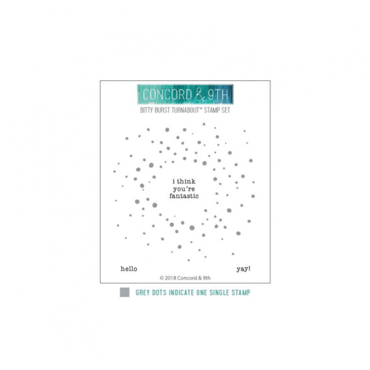 Concord & 9th Bitty Burst Turnabout Stamp Set