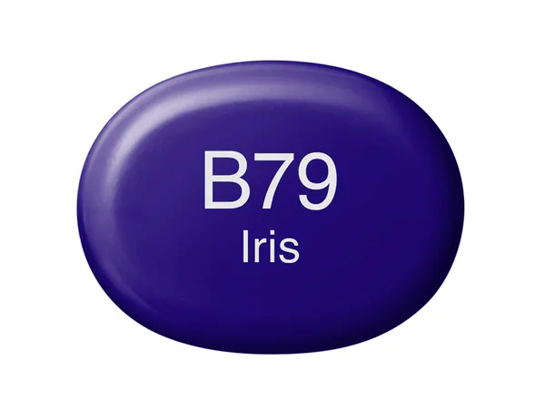 Hovedbilde Copic Sketch B79 Iris
