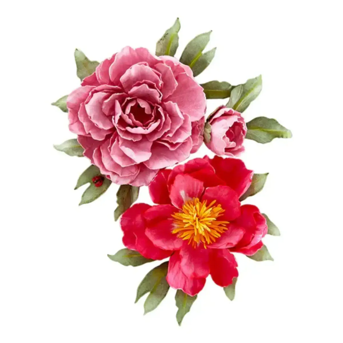 Spellbinders Double & Single Peonies Dies