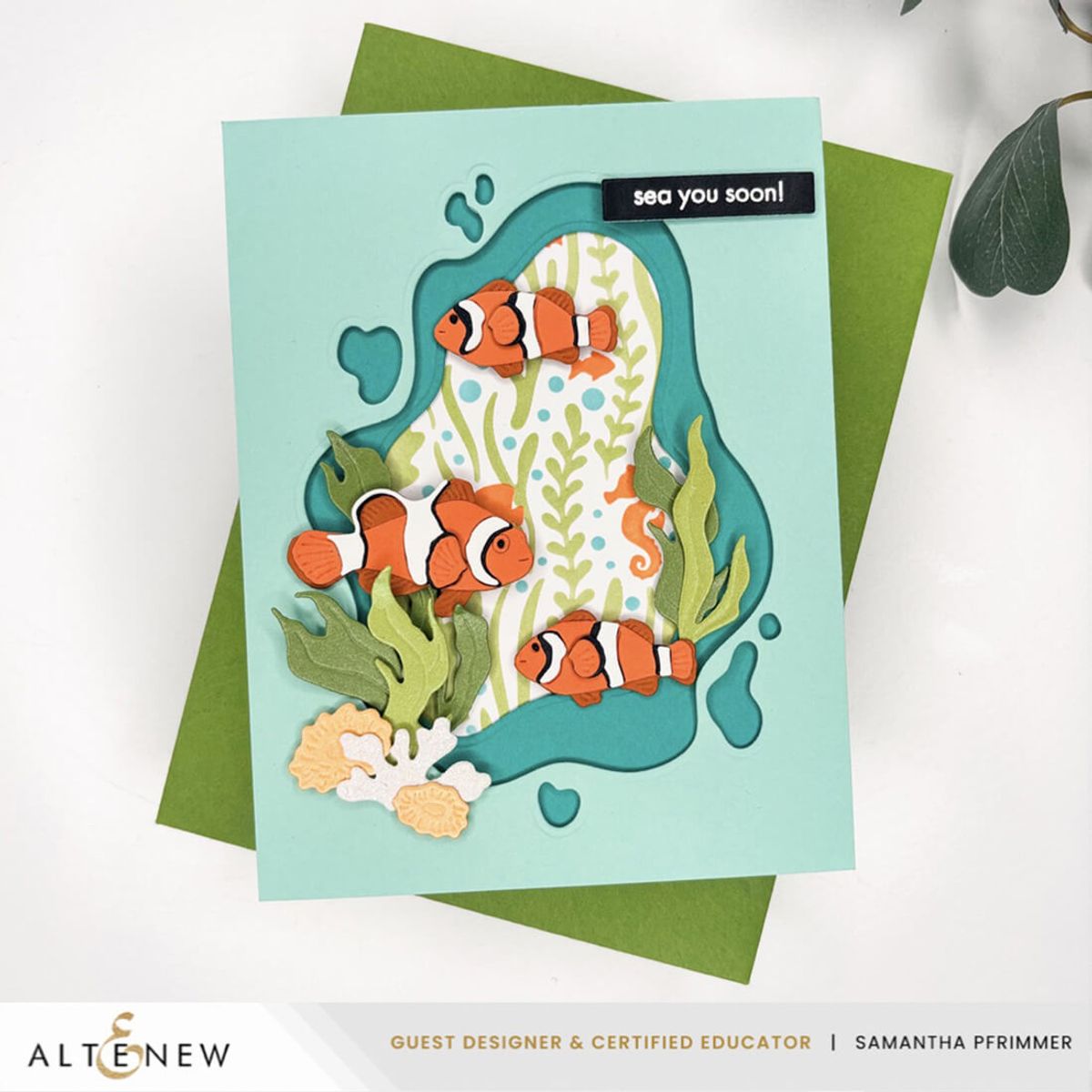 Ocean Window Die Set