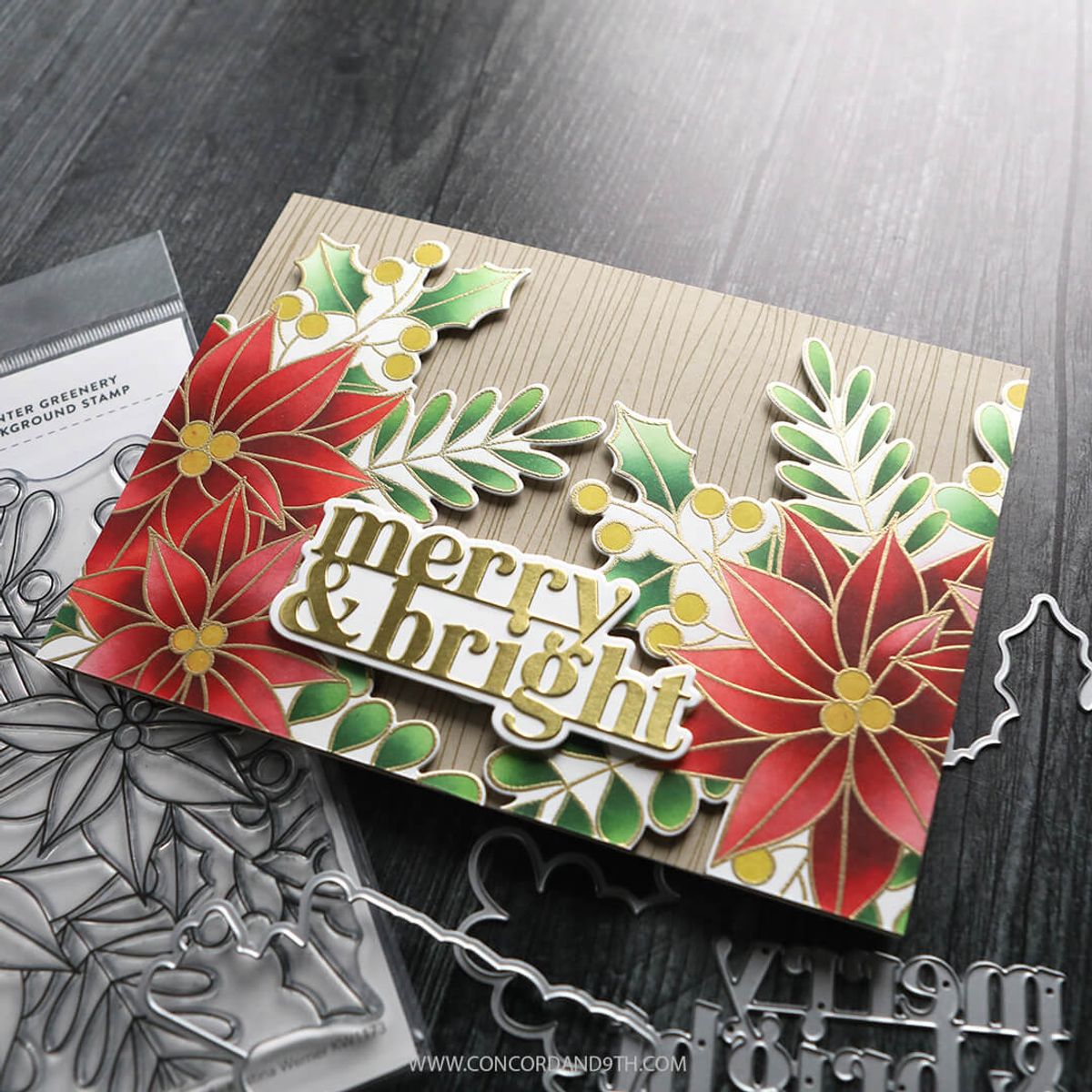 Kristina Werner Winter Greenery Background Bundle